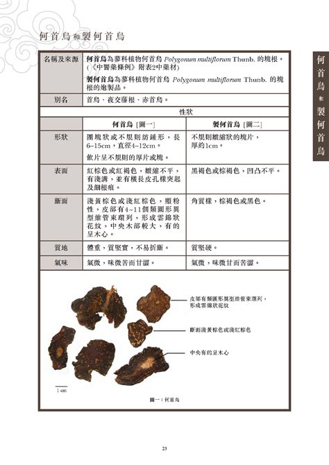 和首烏|衞生署中醫藥規管辦公室